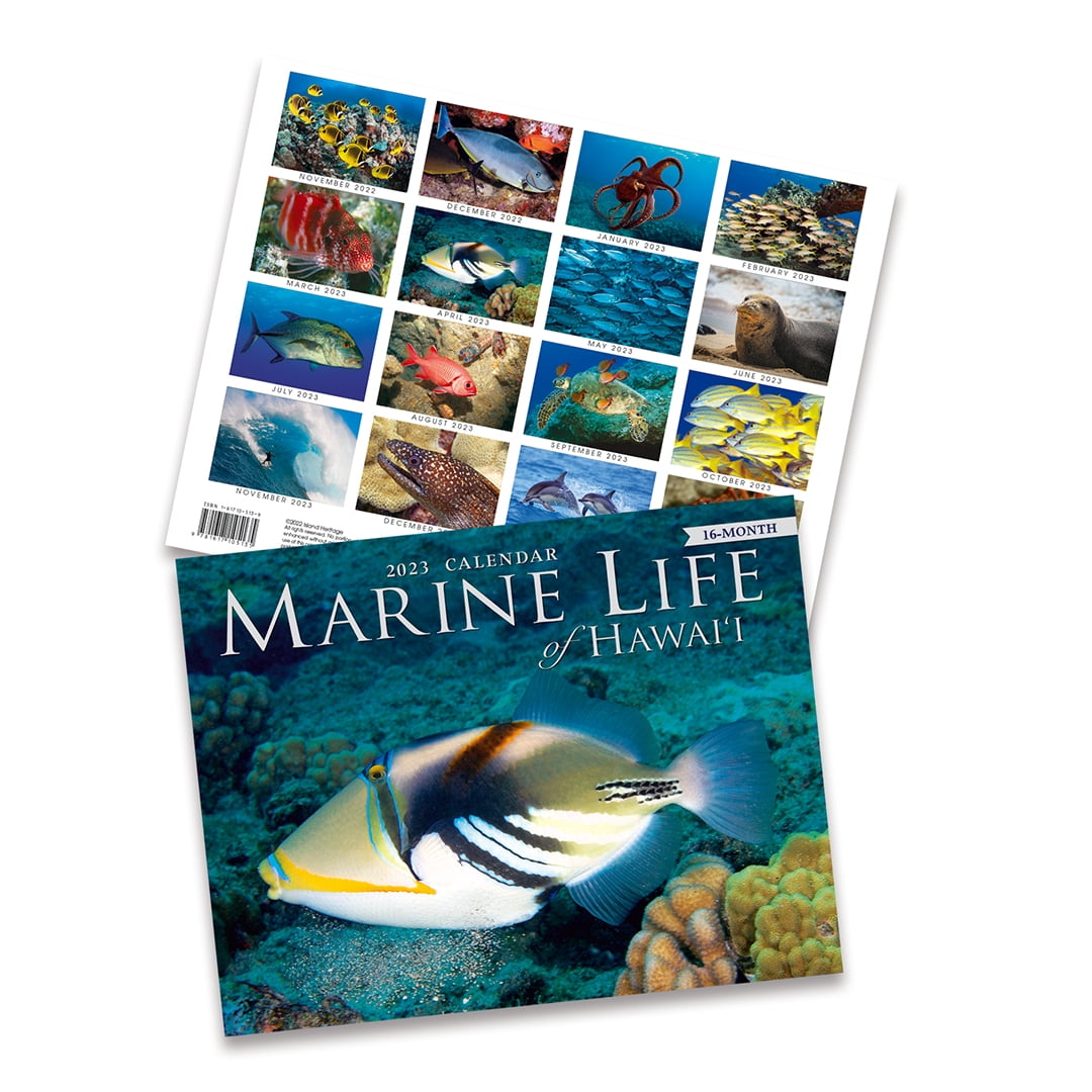 16 Month Trade 2023 Calendar November 2022 February 2024 Marine Life 16 Month Trade 2023 Calendar November 2022 February 2024 Marine Life