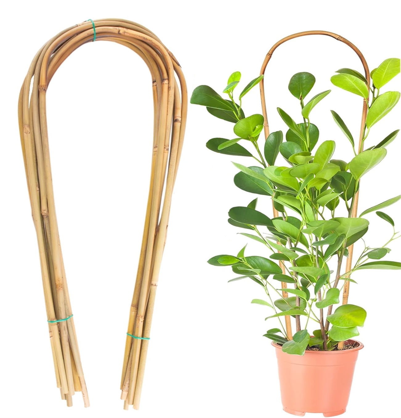 Tralicci Da Giardino A U In Bambù - Mininfa Garden - Supporto Per Piante Rampicanti - 3 Pezzi Da 90 Cm