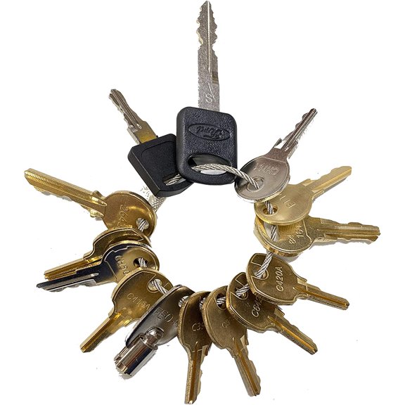 16 OEM Pentesting Keys 1284x FEO-K1 16120 222343 CH751 CH501 C346A C390A E114
