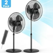 Qunler 18" Oscillating Standing Pedestal Fan, 3-Speed Adjustable Height & Tilt Quiet Electric Stand up Fan for Office Bedroom Home, 2 Pack, Black