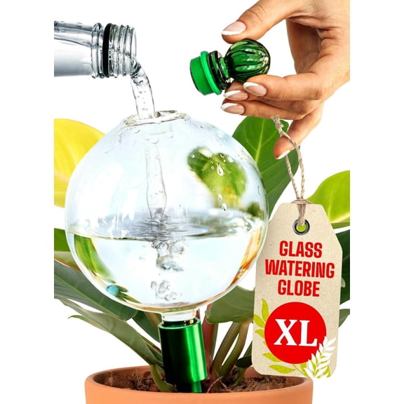 16 Oz Plant Watering Globes for Indoor Plants with Metal Self Planter Insert - Premium XL Glass Hand-Blown Globe Automatic Waterer Indoor, Gift Idea Gardeners [1 Globe, Clear]
