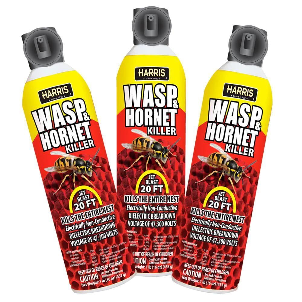 16 Oz. Wasp And Hornet Killer (3-Pack)