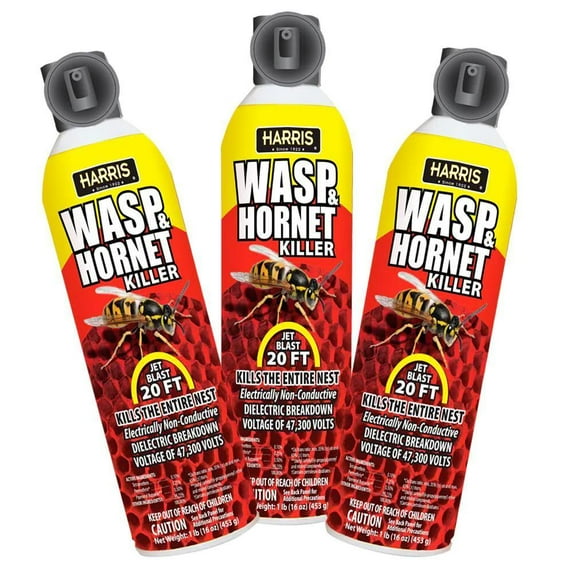 16 Oz. Wasp And Hornet Killer (3-Pack)