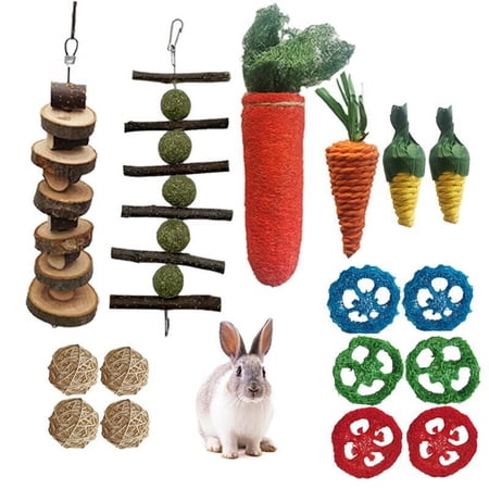 16 PCS Rabbit Toys Bunny Chew Toys for Teeth, Rabbit Hamster Chew Toys