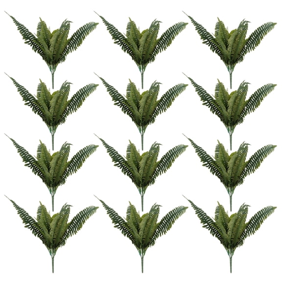 16 Pack: Boston Fern Bush by Ashland