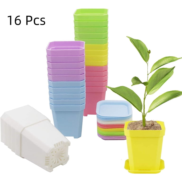 16 Pack Colorful Flower Pots, Happon 3 inch Square Plastic Plant Pots  Succulent Planter Nursery Pots for Garden Home Office Balcony Decor
