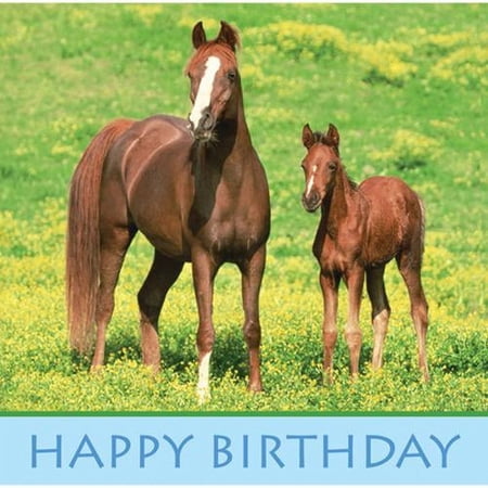 16 Pack Luncheon Napkins Wild Horses