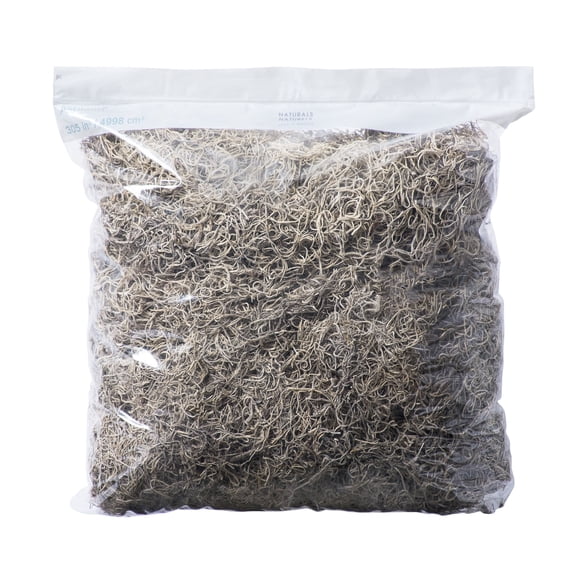 16 Pack: Natural Spanish Moss by Ashland