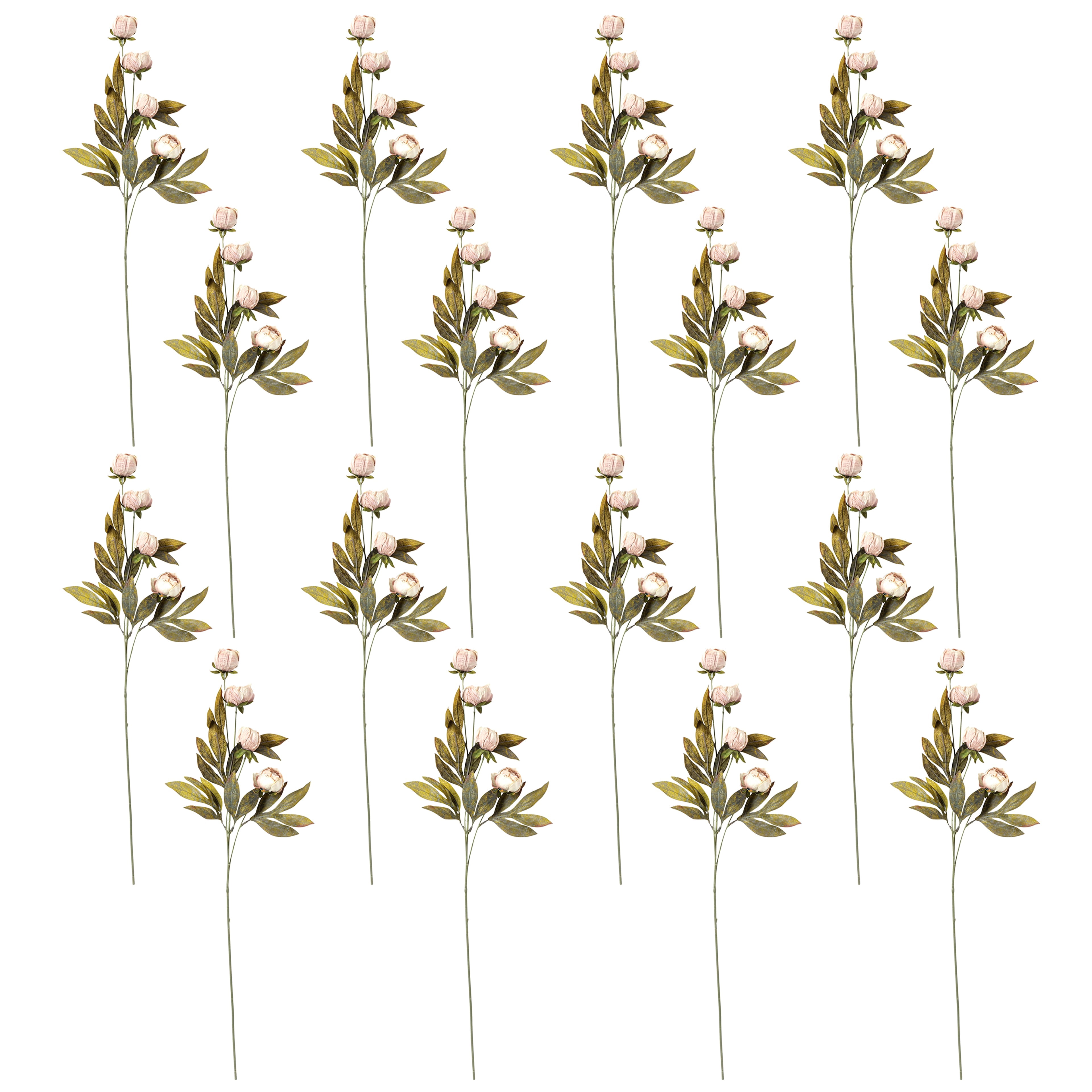 16 Pack: Tan Peony Stem by Ashland