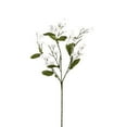 thumbnail image 1 of 16 Pack: White Double Baby's Breath Stem by Ashland, 1 of 3