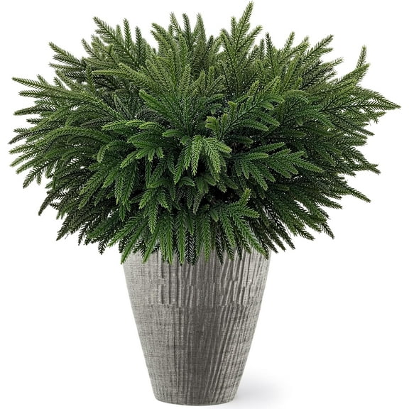 16 Pcs Real Touch Norfolk Pine Branch, 24 Inch Artificial Green Plants Branches, Faux Greenery Pine Stem Fake Cedar Picks for Vase, Christmas Pine Branches for Home Indoor Decor