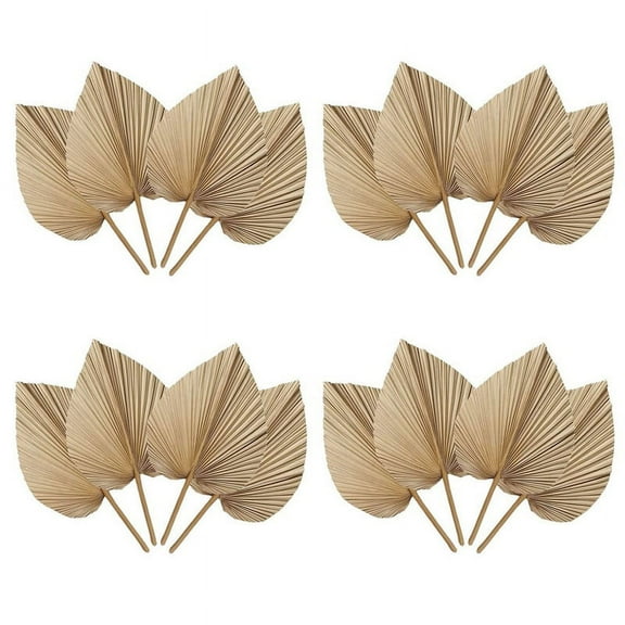 16 Pieces Natural Dried Palm Leaves are Perfect for Palm Leaf Decor, Boho Decor, Home Decor, Wedding
