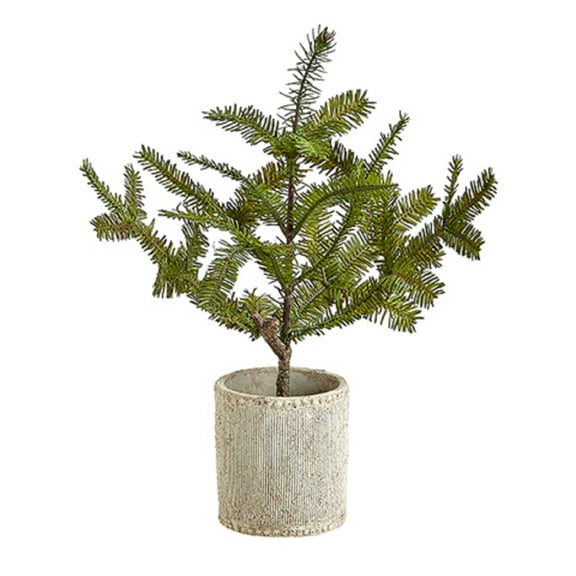 16'' Pine Tree in Cement Planter