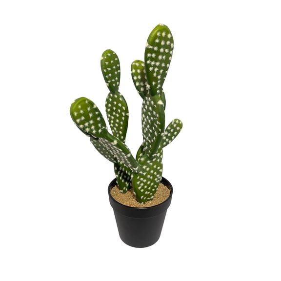 16" Potted Cactus Plant by Ashland  - Spring Floral for Crafting and Home Decor