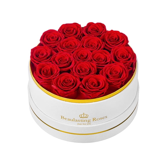 16 Preserved Roses Forever Flowers Real Roses in a Box Mother's Day Birthday Flowers for Her Mom Women Wife Valentine's Day, Red Roses A101