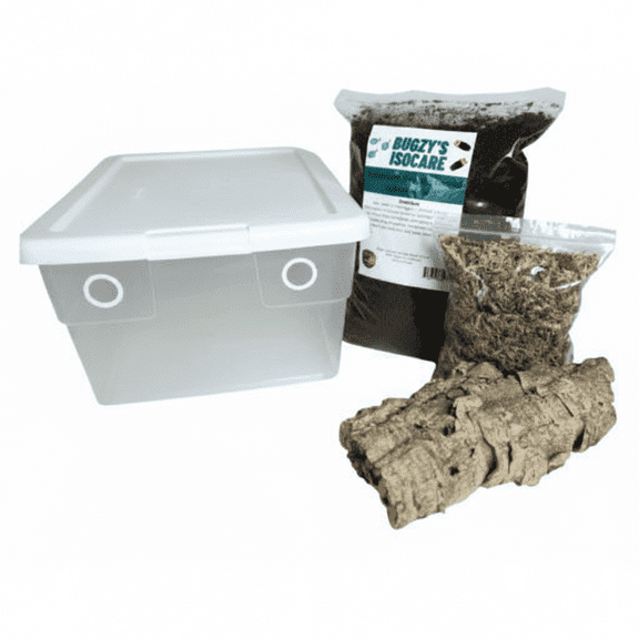 Bugzy Bugs Isocare Reptile & Amphibian 16 Quart Vented Terrarium Kit, with Container, 16.75L x 11.9W x 7H
