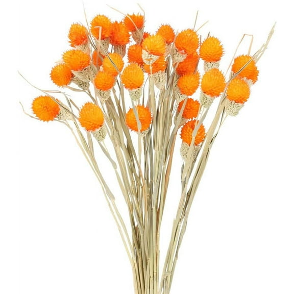 16 Stems Natural Dried Flowers Dried Craspedia Flowers Billy Button Balls Floral Bouquet For Wedding Christmas Winter Home Decor Floral Decoration