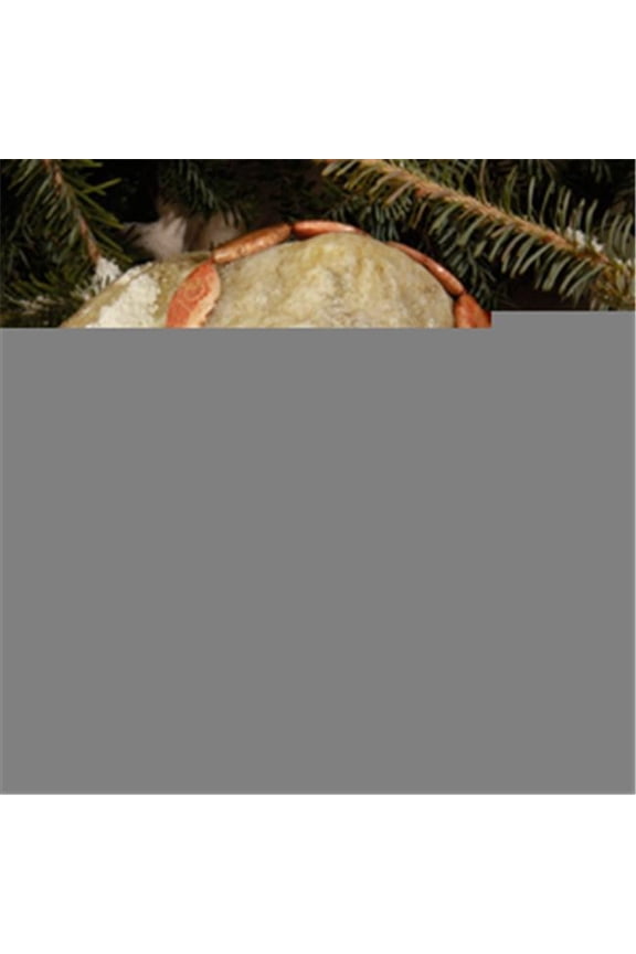 16 in. 33 x 20mm Flat Marquis Petoskey Fossil Necklace