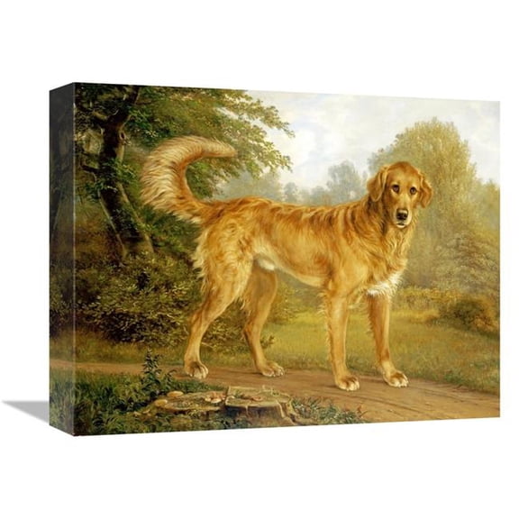 16 in. A Golden Retriever on a Path Art Print - Niels Aagaard Lytzen