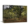 thumbnail image 1 of 16 in. Bodmer Oak, Fontainebleau Forest, 1865 Art Print - Claude Monet, 1 of 1