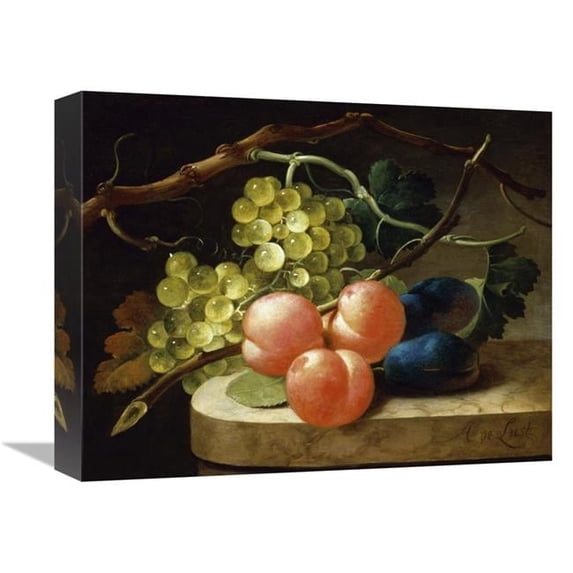 16 in. Grapes on a Vine, Peaches & Plums on a Ledge Art Print - Follower of Antoni De Lust