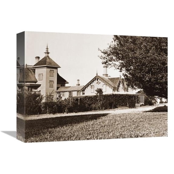 16 in. Residence of Mr. Howard, San Mateo, California with Olive Tree, 1863-1880 Art Print - Carleton Watkins