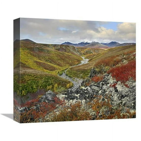 16 in. River Flowing Through Tundra, Ogilvie Mountains, Tombstone Territorial Park, Yukon, Canada Art Print - Tim Fitzharris