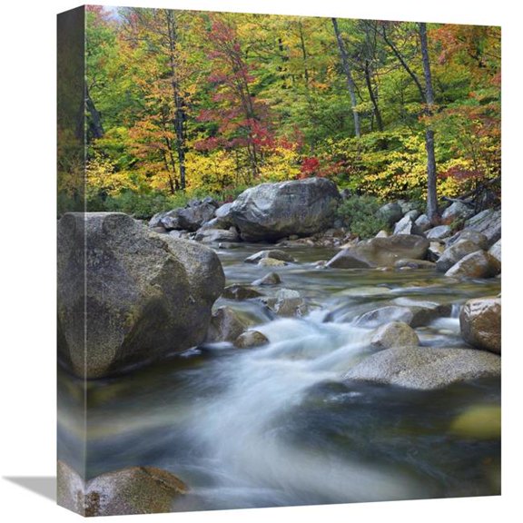 16 in. Swift River in Fall, White Mountains National Forest, New Hampshire Art Print - Tim Fitzharris