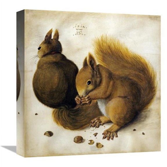 16 in. Two Squirrels, One Eating a Hazelnut Art Print - Albrecht Durer