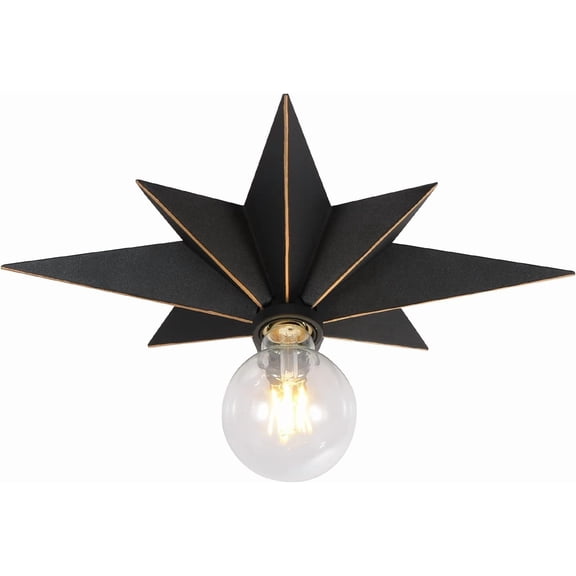 16 inch Flush Mount Ceiling Light, Industrial Black Metal Star Ceiling Lights, Vintage Entryway Light Fixtures, Farmhouse Star Lighting for Hallway, Porch, Study, Bedroom, Stair, Kitchen, Bathroom
