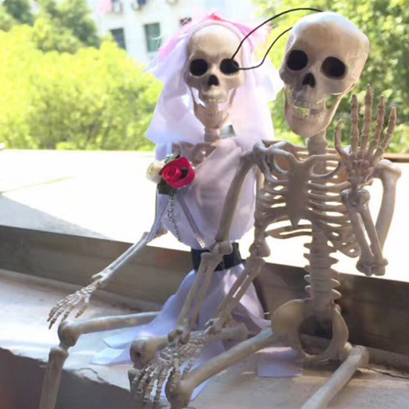16 inch Posable Life Size Human Adult Skeletons Plastic Human Bones with Movable Joints for Halloween Decoration
