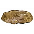 thumbnail image 1 of 16 x 10 in. Botanic Porcelain Tree Bark Tray, Gold, 1 of 1