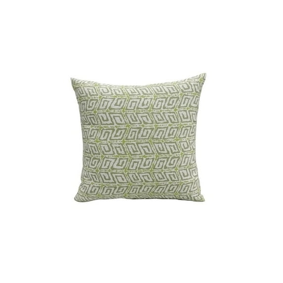 16" x 16" Indoor/Outdoor Throw Pillow, Set of 2 Kiwi Green