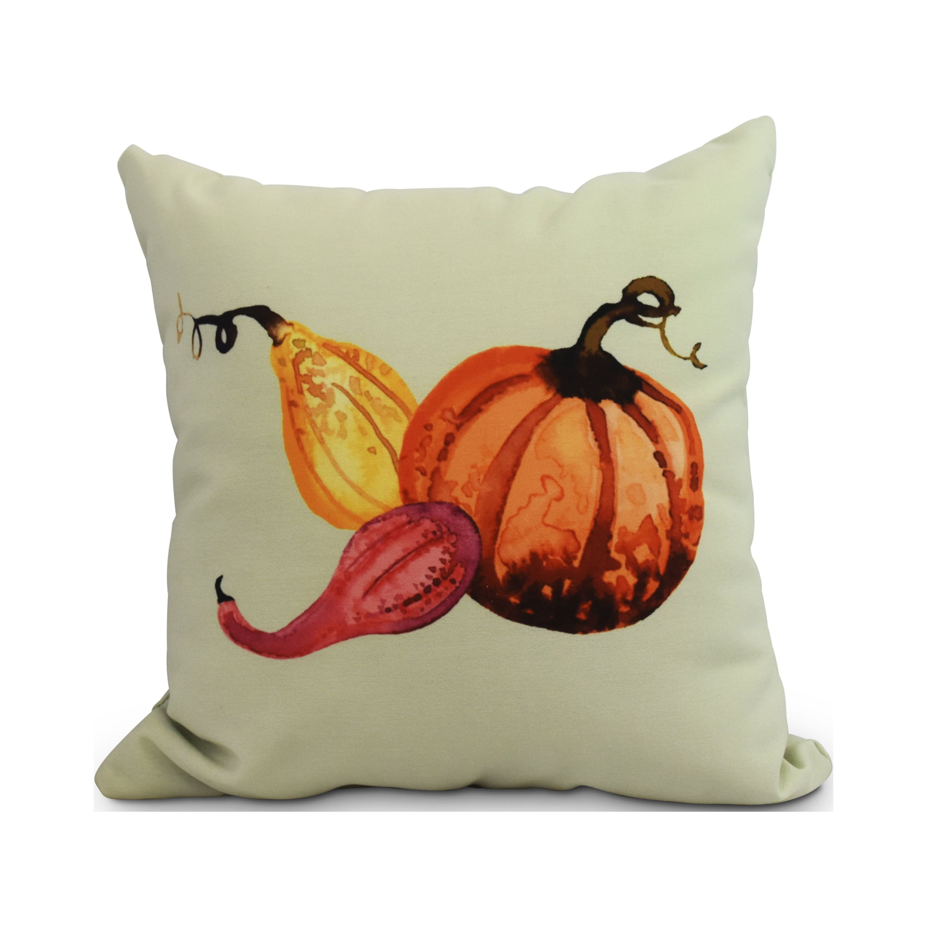 16" x 16" Simply Daisy Gourd Pile Fall Polyester Indoor/Outdoor Pillow, Green Qty 1