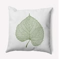 thumbnail image 1 of 16" x 16" Simply Daisy Leaf Study Polyester Accent Pillow, Scallion Qty 1, 1 of 6