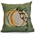 thumbnail image 1 of 16" x 16" Simply Daisy Pumpkin Fest Fall Polyester Accent Pillow, Green Qty 1, 1 of 1