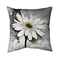 thumbnail image 1 of 16 x 16 in. Abstract Daisy-Double Sided Print Indoor Pillow Cover, 1 of 1