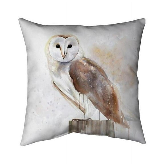 16 x 16 in. Barn Owl-Double Sided Print Indoor Pillow Cover
