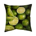 thumbnail image 1 of 16 x 16 in. Basket of Limes-Double Sided Print Indoor Pillow Cover, 1 of 1