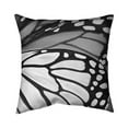 thumbnail image 1 of 16 x 16 in. Butterfly Wings Closeup-Double Sided Print Indoor Pillow Cover, 1 of 1