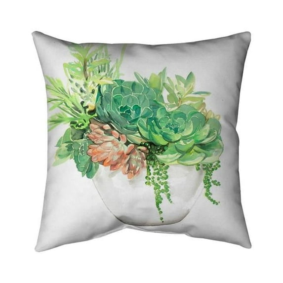 16 x 16 in. Succulent Assortment In A Pot-Double Sided Print Indoor Pillow Cover