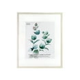 thumbnail image 1 of 16" x 20" White Wooden Float Picture Frame by Studio Decor - Includes Pre-attached Hanging Hardware - Horizontal or Vertical Display - 1 Pack, 1 of 5