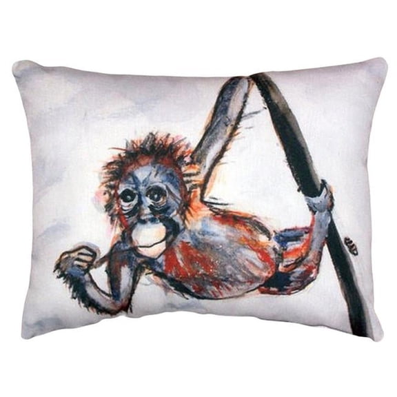 16 x 20 in. Betsys Monkey No Cord Pillow