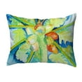 thumbnail image 1 of 16 x 20 in. Big Cocoa Nuts Non-Corded Indoor & Outdoor Pillow, 1 of 1