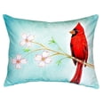 thumbnail image 1 of 16 x 20 in. Dicks Cardinal No Cord Pillow, 1 of 1