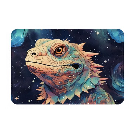 16" x 24" Non-Slip Flannel Doormat Indoor Entry Rug, Kitchen Floor Mat for Front Door, Laundry, Bedroom, Cool Bearded Dragon Lizards Starry
