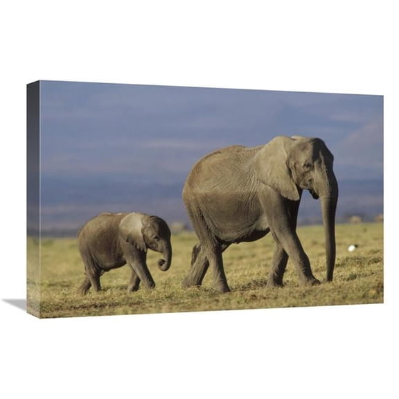 16 x 24 in. African Elephant Mother Leading Calf, Kenya Art Print - Tim Fitzharris