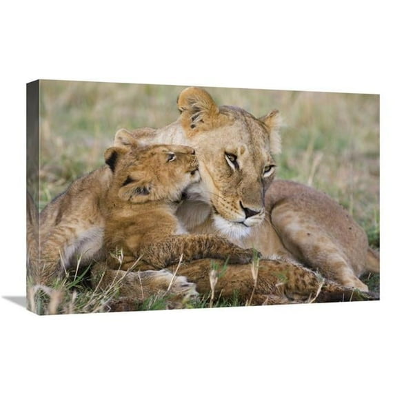 16 x 24 in. African Lion Mother & Young Cubs, Masai Mara National Reserve, Kenya Art Print - Suzi Eszterhas