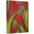 thumbnail image 1 of 16 x 24 in. Ant on Heliconia, Costa Rica Art Print - Tim Fitzharris, 1 of 1