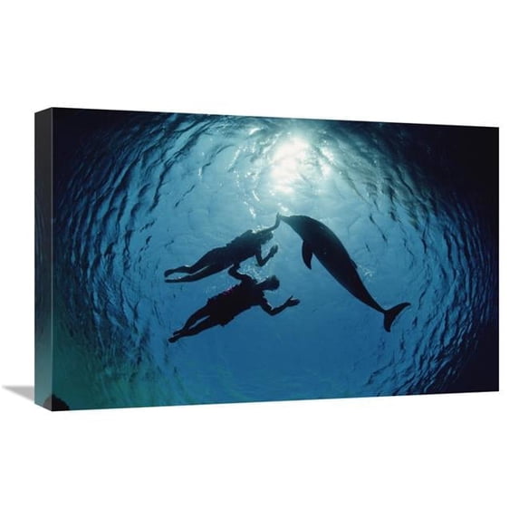 16 x 24 in. Bottlenose Dolphin Silhouetted with Two Swimmers, Hawaii Art Print - Flip Nicklin